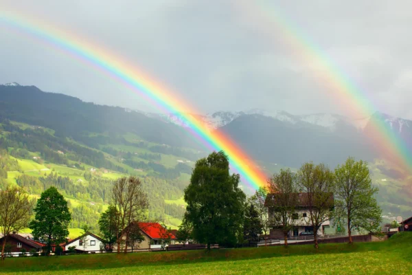 Frühjahrskur Apotheke – Entlastung für Körper und Stoffwechsel in Tirol
